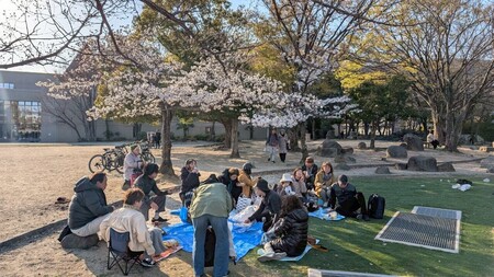 LINE_ALBUM_202544 お花見_250405_4.jpg